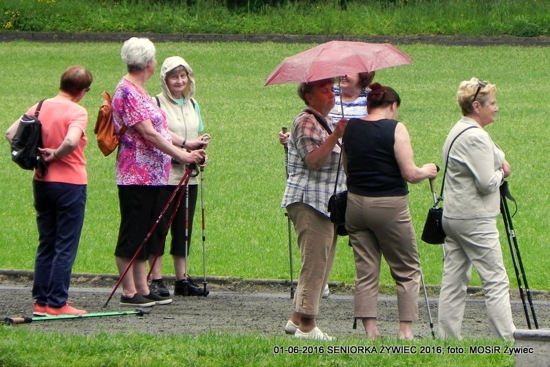 NORDIC WALKING - I CO Z TEGO, ŻE PADA?