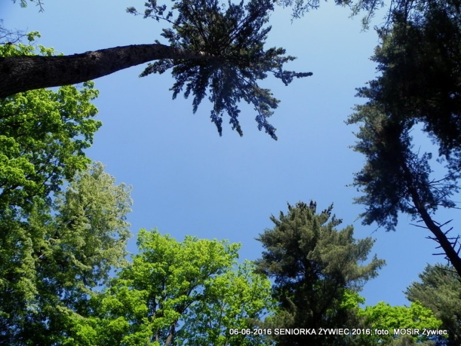 SENIORKA ŻYWIEC 2016 - GŁOWY W GÓRĘ!