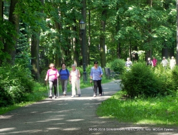 SENIORKA ŻYWIEC 2016 - GŁOWY W GÓRĘ! - zdjęcie9