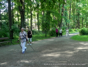 SENIORKA ŻYWIEC 2016 - GŁOWY W GÓRĘ! - zdjęcie8