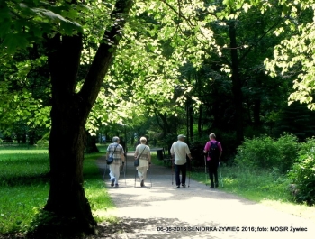 SENIORKA ŻYWIEC 2016 - GŁOWY W GÓRĘ! - zdjęcie6