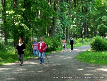 SENIORKA ŻYWIEC 2016 - GŁOWY W GÓRĘ! - zdjęcie5