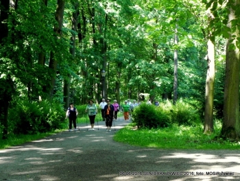 SENIORKA ŻYWIEC 2016 - GŁOWY W GÓRĘ! - zdjęcie4