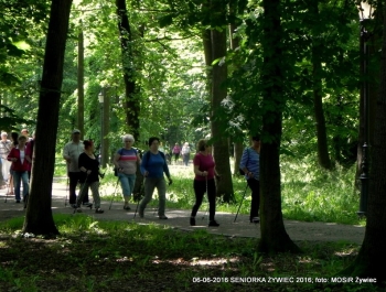 SENIORKA ŻYWIEC 2016 - GŁOWY W GÓRĘ! - zdjęcie3