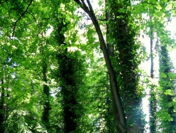 SENIORKA ŻYWIEC 2016 - GŁOWY W GÓRĘ! - zdjęcie2