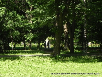 SENIORKA ŻYWIEC 2016 - GŁOWY W GÓRĘ! - zdjęcie1