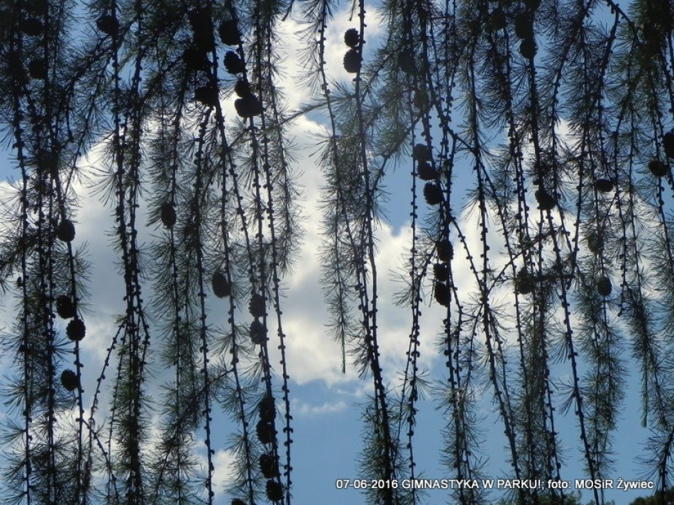 ĆWICZYMY I PODZIWIAMY WIDOKI
