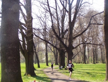 OFICJALNE WYNIKI - zdjęcie 7