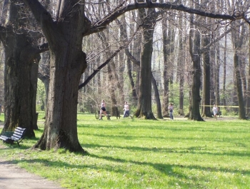 OFICJALNE WYNIKI - zdjęcie 6