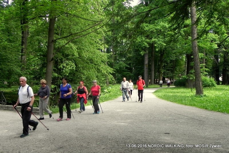 NORDIC WALKING TO JEST TO!