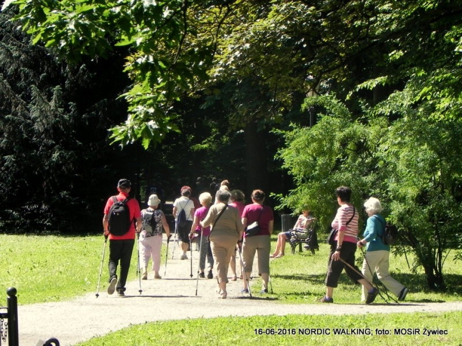 NORDIC WALKING - KIJE W RUCH!