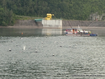 DIABLAK 2016 - OKIEM ORGANIZATORA - zdjęcie44