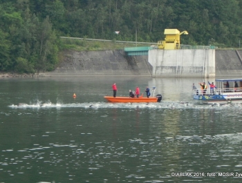 DIABLAK 2016 - OKIEM ORGANIZATORA - zdjęcie41