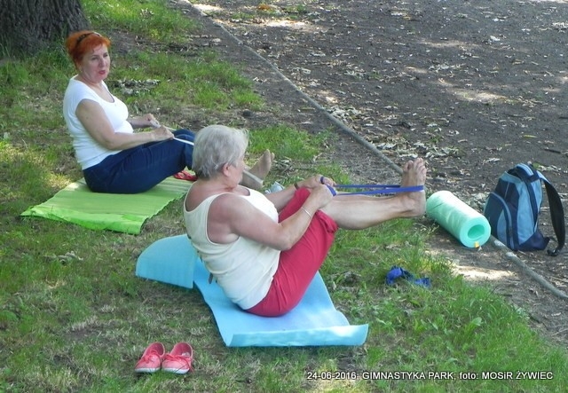 GIMNASTYKA ŹRÓDŁEM WITALNOŚCI