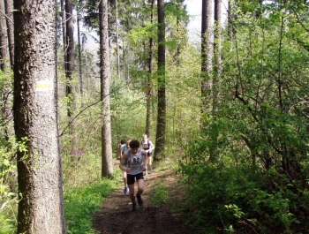 WIOSENNY FESTIWAL BIEGOWY - WYNIKI - zdjęcie 40