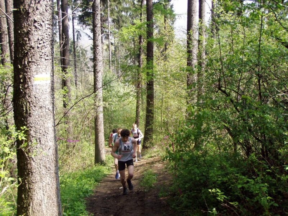 WIOSENNY FESTIWAL BIEGOWY - WYNIKI