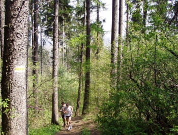 WIOSENNY FESTIWAL BIEGOWY - WYNIKI - zdjęcie 39