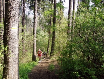 WIOSENNY FESTIWAL BIEGOWY - WYNIKI - zdjęcie 37