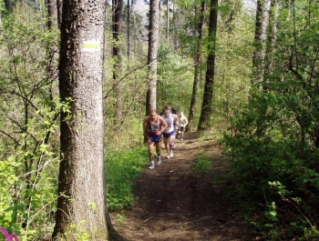 WIOSENNY FESTIWAL BIEGOWY - WYNIKI - zdjęcie 35