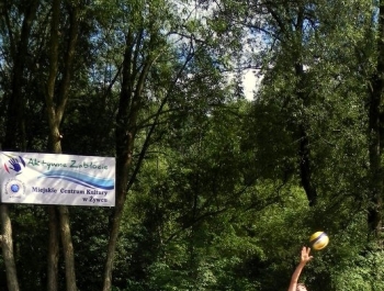 TURNIEJ SIATKÓWKI PLAŻOWEJ - AKTYWNE ZABŁOCIE! - zdjęcie55