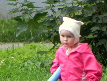 FESTYN  NA OSIEDLU POD GRAPĄ - zdjęcie36