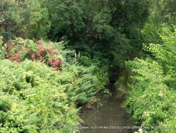 FESTYN  NA OSIEDLU POD GRAPĄ - zdjęcie10