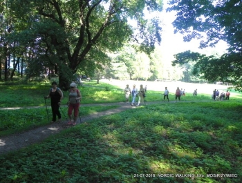 Seniorzy znów w akcji! - zdjęcie8