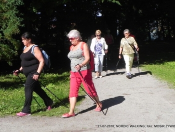 Seniorzy znów w akcji! - zdjęcie7