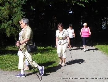 Seniorzy znów w akcji! - zdjęcie6