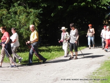 Seniorzy znów w akcji! - zdjęcie4