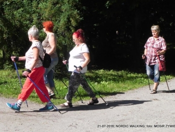 Seniorzy znów w akcji! - zdjęcie3