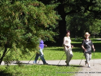 Seniorzy znów w akcji! - zdjęcie2