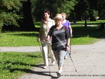 Seniorzy znów w akcji! - zdjęcie1