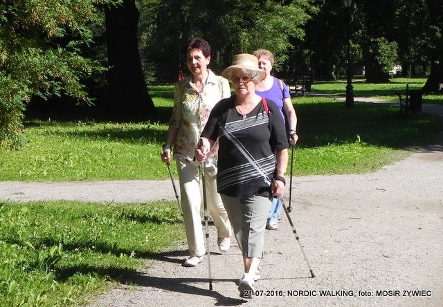 Seniorzy znów w akcji!