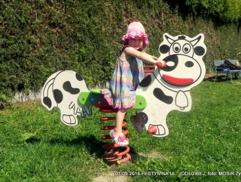 FESTYN NA UL. JODŁOWEJ - zdjęcie29