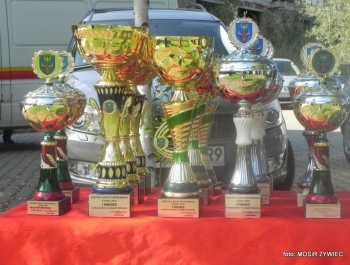 IGRZYSKA MIAST PARTNERSKICH 2016 - WINIKI - zdjęcie16