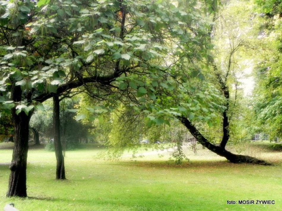 Park zaprasza Seniorów