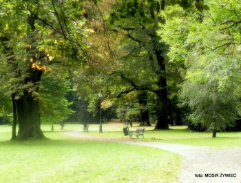 Park zaprasza Seniorów - zdjęcie5