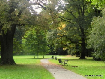 Park zaprasza Seniorów - zdjęcie4