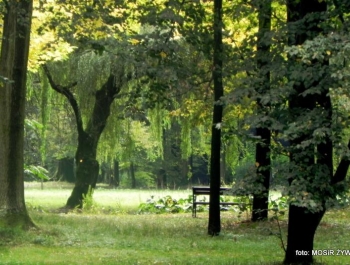 Park zaprasza Seniorów - zdjęcie2