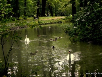 Park zaprasza Seniorów - zdjęcie1