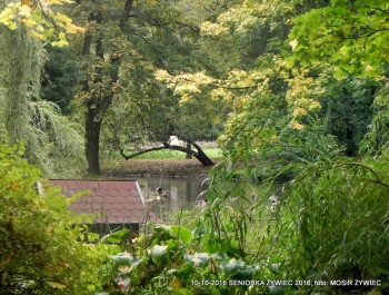 Nordic walking - najlepszy jesienią! - zdjęcie10