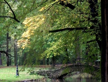 Nordic walking - najlepszy jesienią! - zdjęcie9