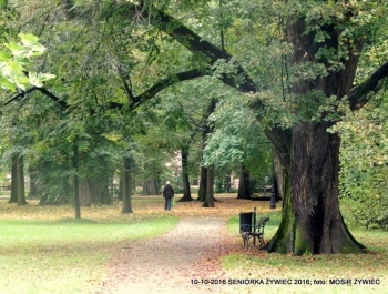 Nordic walking - najlepszy jesienią! - zdjęcie7