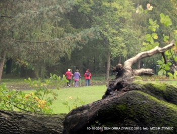 Nordic walking - najlepszy jesienią! - zdjęcie6