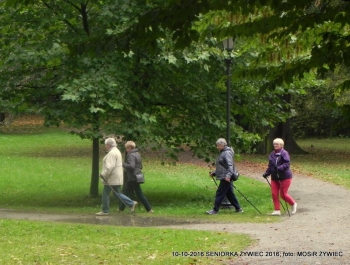 Nordic walking - najlepszy jesienią! - zdjęcie5