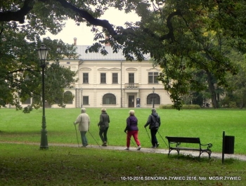 Nordic walking - najlepszy jesienią! - zdjęcie4