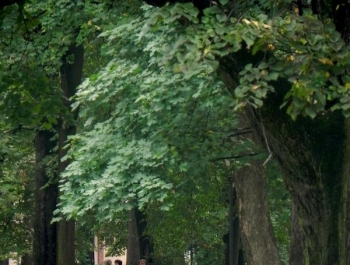 Nordic walking - najlepszy jesienią! - zdjęcie3