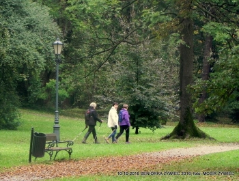Nordic walking - najlepszy jesienią! - zdjęcie2