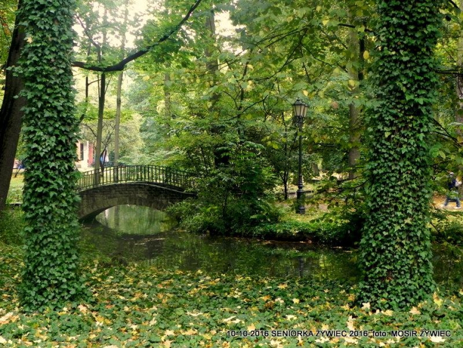 Nordic walking - najlepszy jesienią!